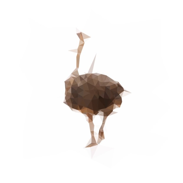 ostrich