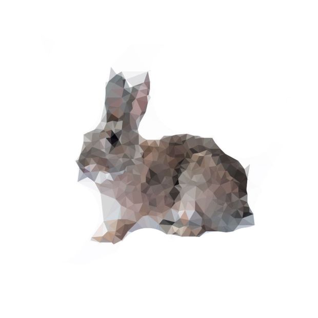 rabbit