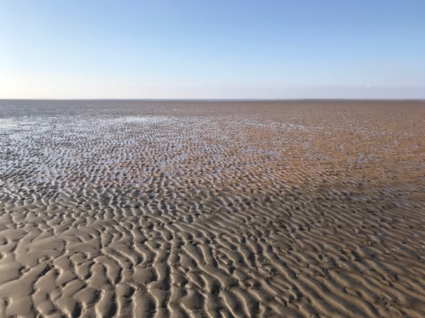 37161163_1861739797229018_5962766220171149312_n