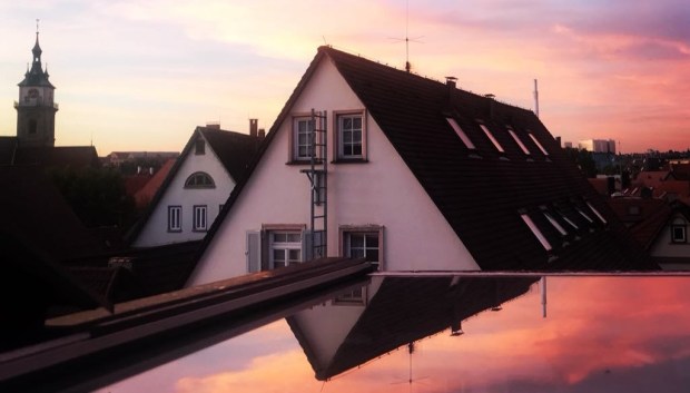 42678837_251910062193259_6878077180341911552_n